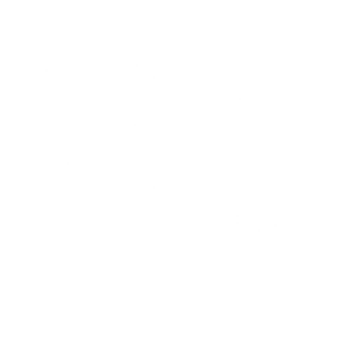 Mr.S